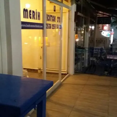 梅里酒店 3*